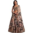 Siciliaoutfits Indian Bollywood Stylish Designer Ready to Wear Lehenga Choli Party Wear Pakistani Beautiful Choli