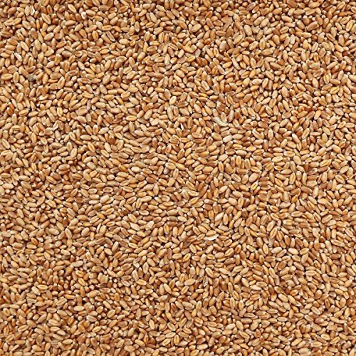 ORGANIC RED FIFE KERNEL- 22lb - Thumbnail 2