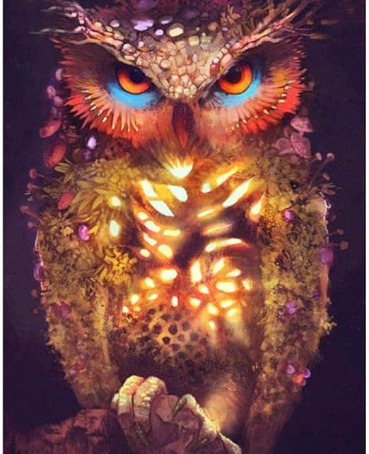 LSDAMN 5D Diamond Painting Kits Full Drill Owl 40X50CM DIY Runde