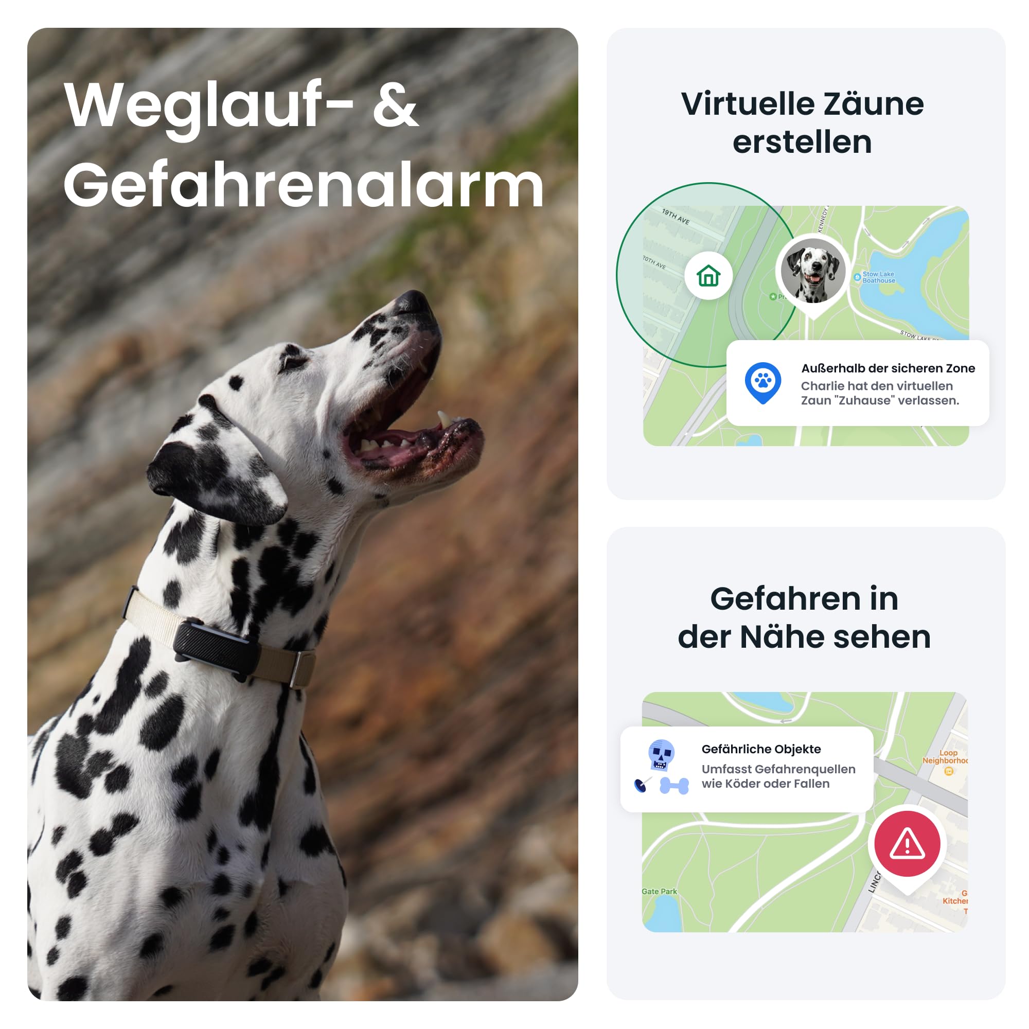 Tractive GPS Tracker Hund | 2025 Edition | Live-Ortung | Weglaufalarm | Aktivitätstracking | Gesundheitswarnungen | Bellverhalten | Empfohlen von Martin Rütter (Schwarz) 4