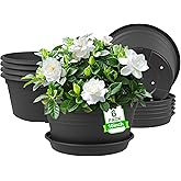 NNARRE 6 Pack 10 inch Plant Pot, Round Plastic Plant Pots, Outdoor Pots for Plants with Drainage Hole & Tray Saucer, Decorati