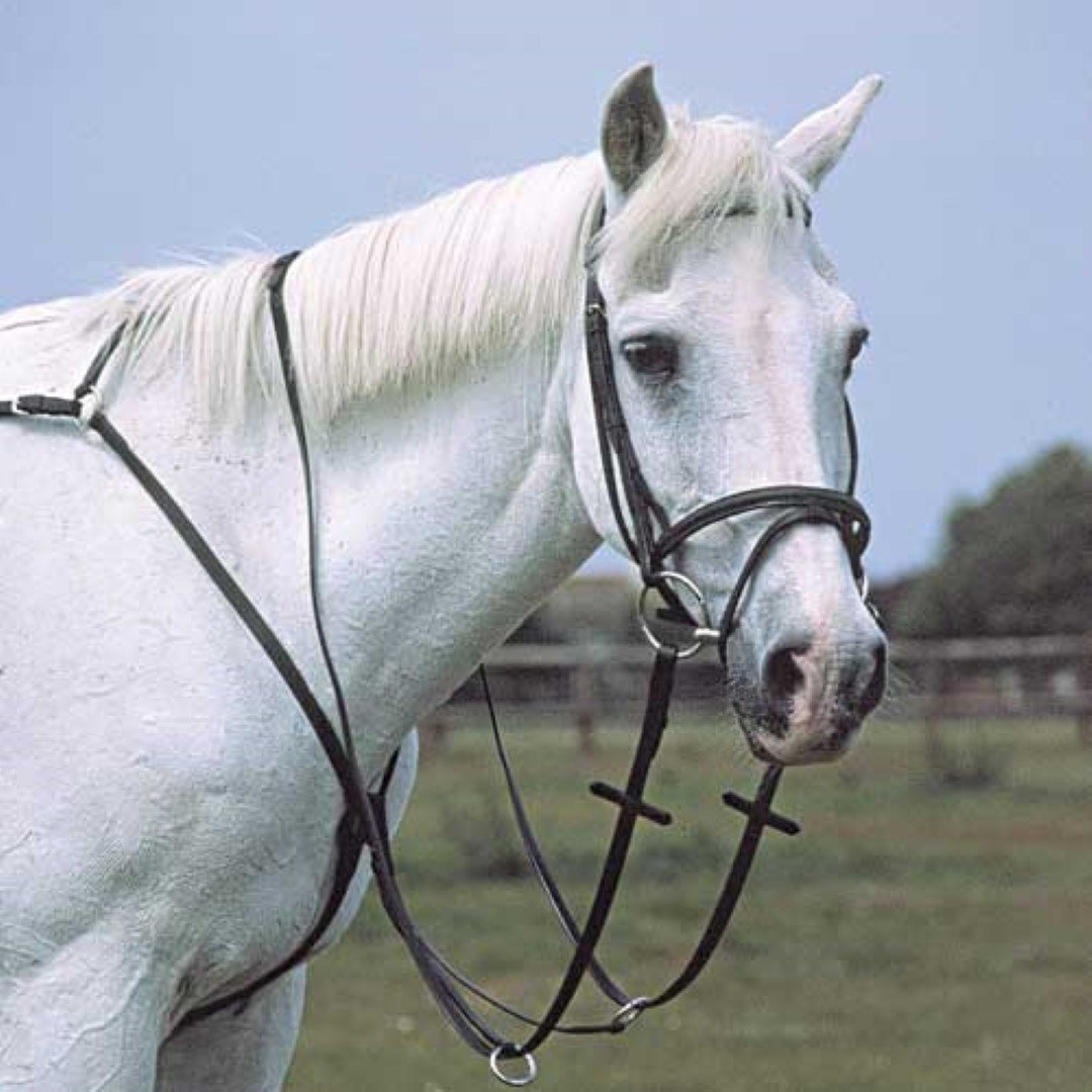 Heritage English Leather Breastplate Running Martingale Amazon.co.uk