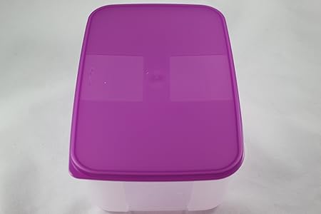 Tupperware nevera-sistema 3,1 litros lata rectangular con tapa XXL ...