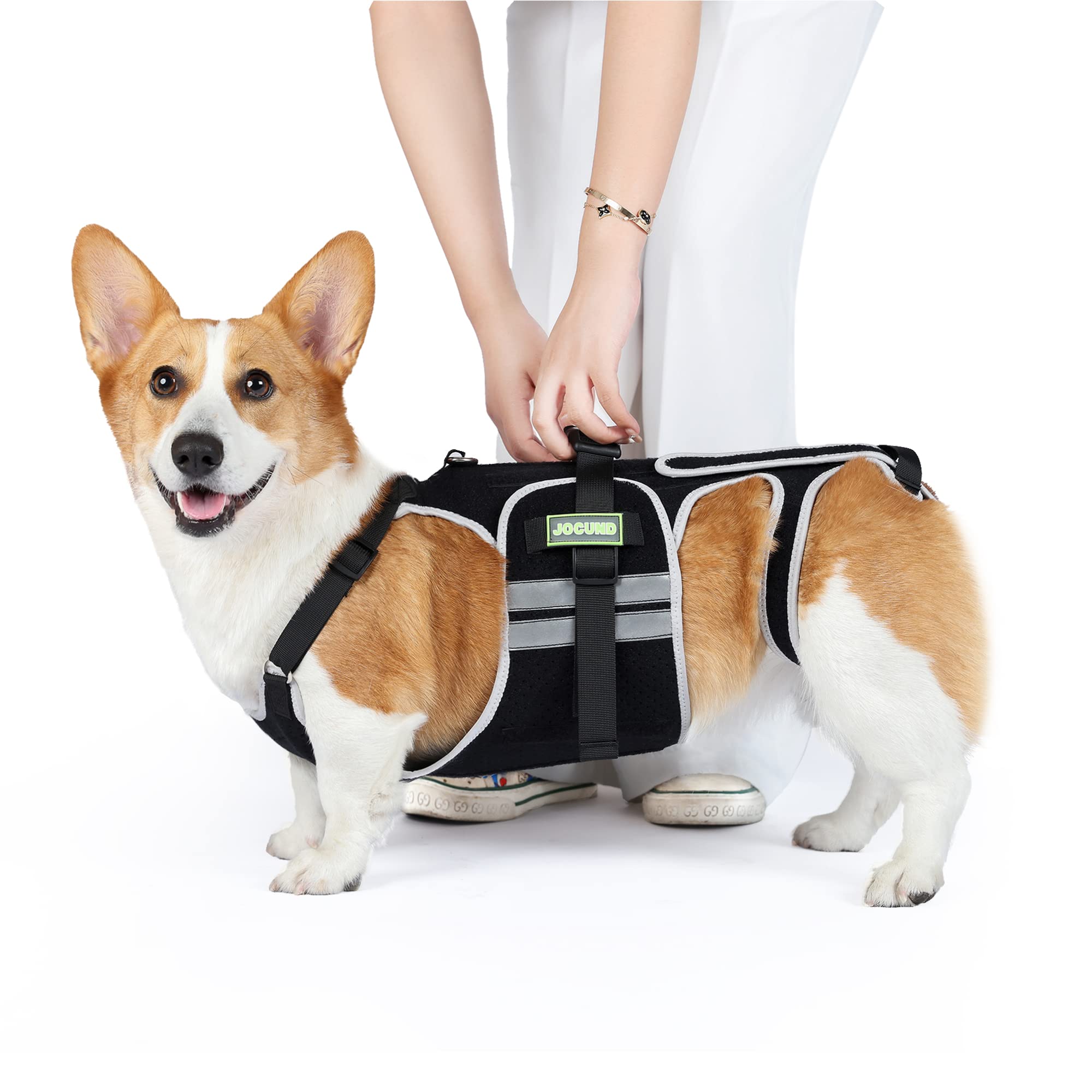 JOCUND Dog Back Brace for IVDD, Arthritis Pain Relief for