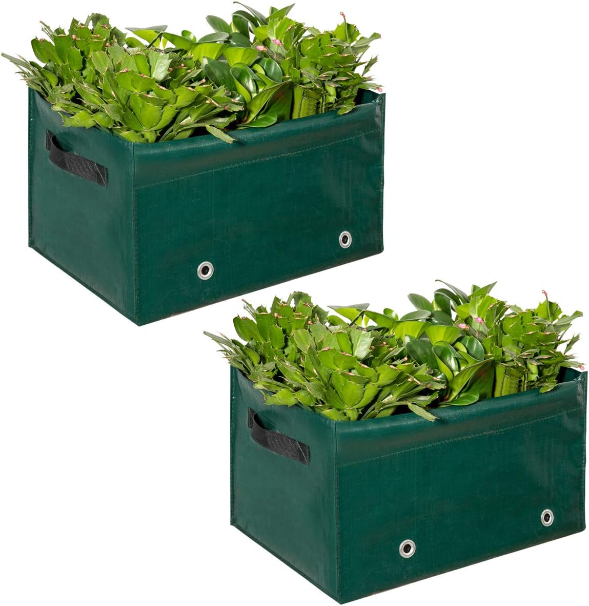 Apipi-2 Pcs Plant Grow Bags with Tube Supported Garden Pots Container for Carrot Onion Herb Flower Vegetable Plants