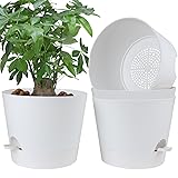 YNNICO 12 Inches Indoor Self Watering Planters with
