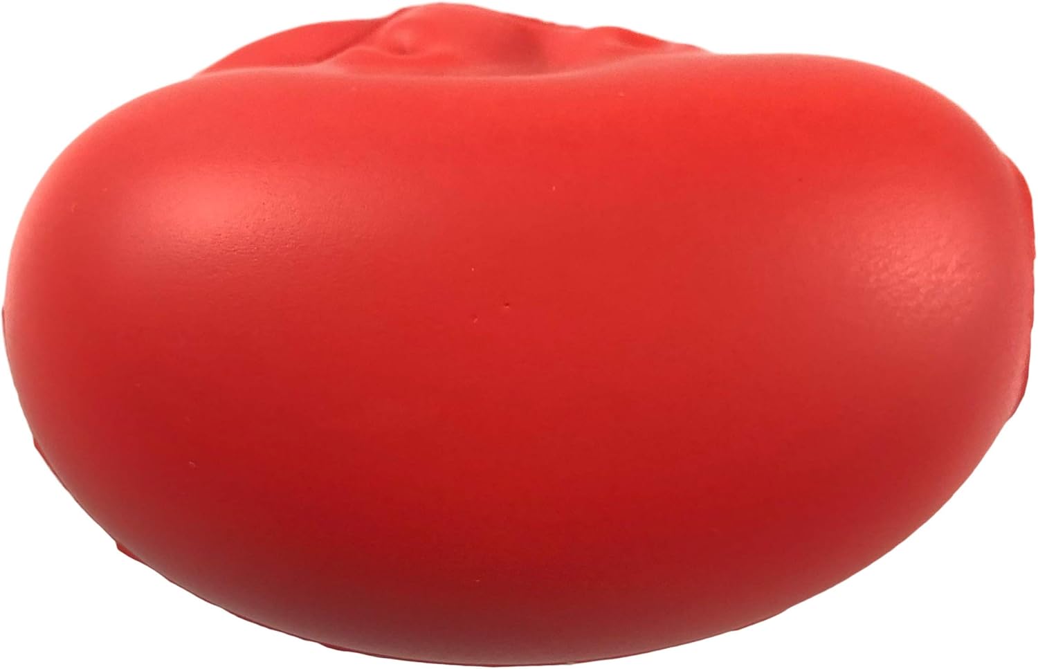 Fitz Talking Kidney Motivational Stress Ball - Encouragement and Stress Relief - Quotes - Squeeze Ball: Sports & Outdoors