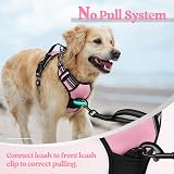 rabbitgoo Dog Harness Large No Pull Reflective Pink Adjustable Vest view 6