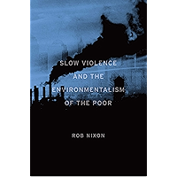 Slow Violence and the Environmentalism of the Poor book cover