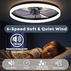 Fszdorj 23.6'' Ceiling Fan with Light, Upgraded Low