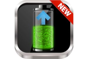 Fast Battery Charger mAH