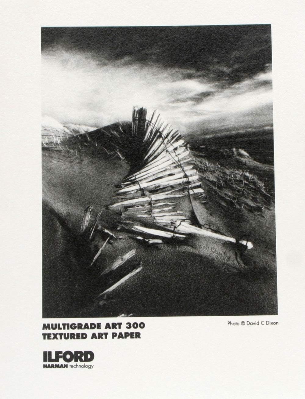 Black and White Matte Surfaced Fiber Based Photo Paper on a Textured