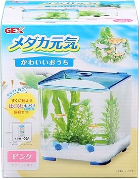Amazon ジェックス 株式会社 ｇｅｘ メダカ元気 かわいいおうち ４９７２５４７０２８８４６ ジェックス ウェット 通販