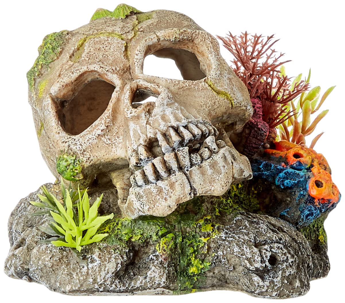 Nobby Aquarium Ornaments, Skull with Plants, Gothic Green, Halloween, 13.5 x 13.5 x 10.5 cm