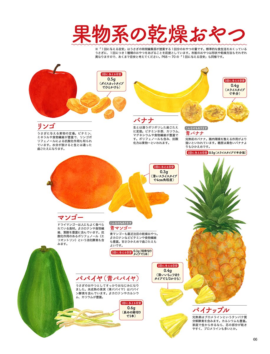 うさぎの時間 No 19 Seibundo Mook うさぎの時間編集部 本 通販 Amazon