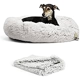 casper dog bed amazon