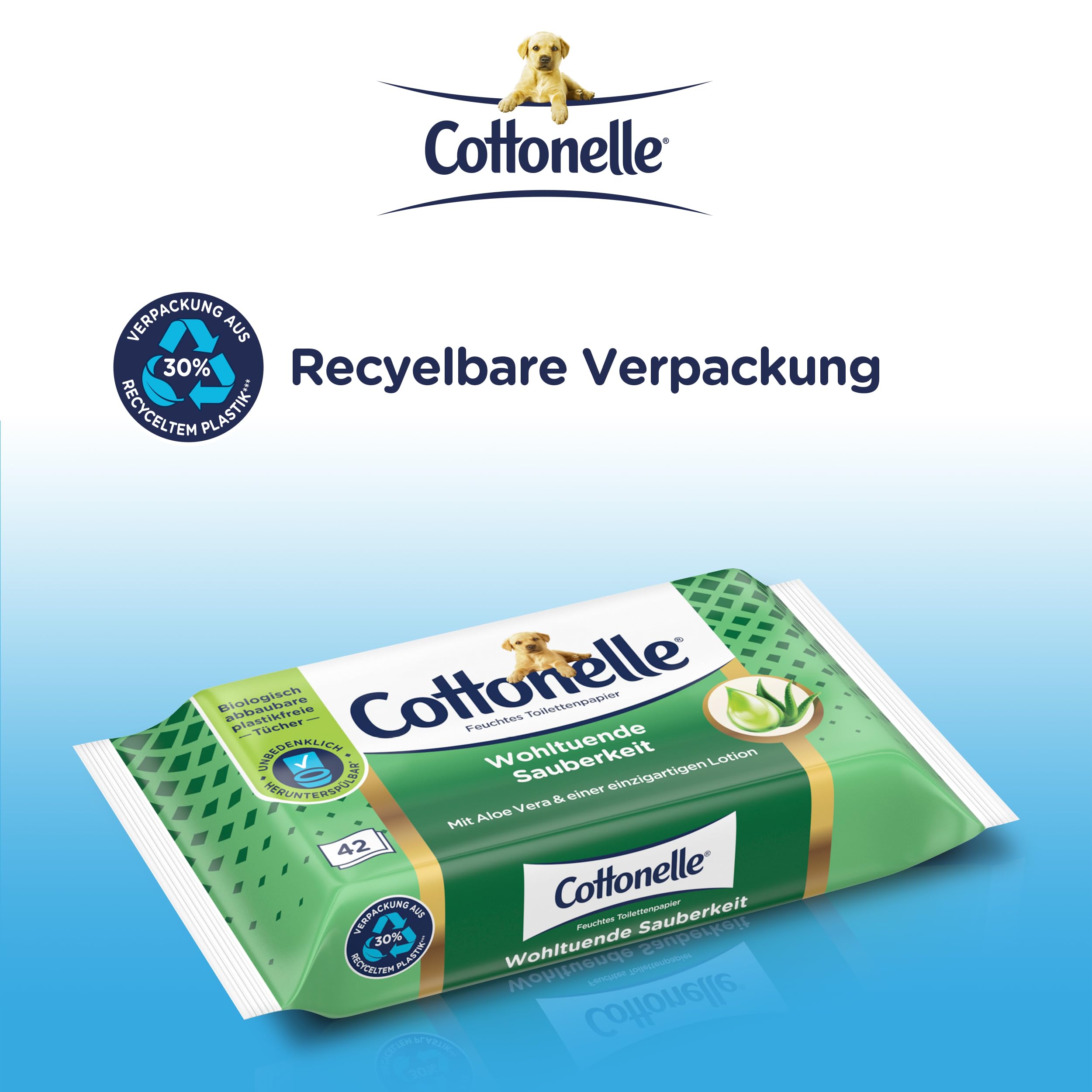 Cottonelle Feuchtes Toilettenpapier, Wohltuende Sauberkeit, Mit prebiotischer Lotion, Biologisch Abbaubar, Plastikfrei, Wiederverschließbar, 12 x 42 Feuchttücher 5