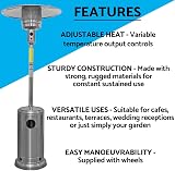 Dellonda Freestanding 13kW Gas Patio Heater with Wheels & Cover DG221 view 2
