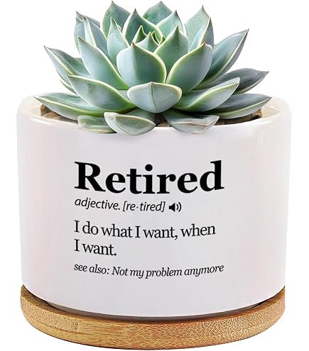 succulent subscriptions Plant Club