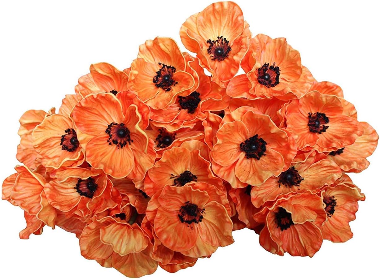 Which Is The Best Poppy Home Decor
