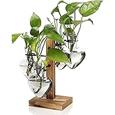 CYZglass Plant Terrarium Propagation Stations with Wooden Stand, Glass Vase for Indoor Hydroponics Home Garden Office Decoration Gift for Women - 4 Love Bulb Vase