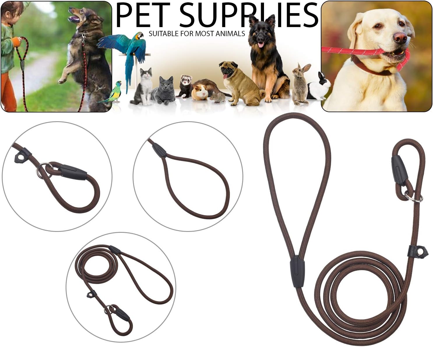 most secure dog leash