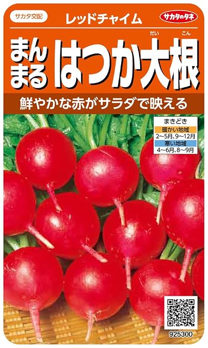 サカタのタネ 実咲野菜5300 まんまるはつか大根 レッドチャイム 00925300