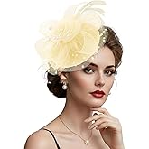 DRESHOW Fascinators Hats for Women Tea Party Hat Vintage Derby Pillbox Kentucky Hat Church Cocktail Headwear