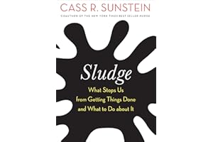 Sludge: What Stops Us from Getting Things Done and What to Do about It
