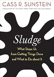 Sludge: What Stops Us from Getting Things Done and