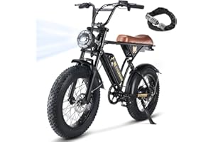 CYCROWN CycRun Electric Bike for Adults 750W Motor with 374.4WH Battery, 20MPH 55Miles Moped Style Ebike for Adults, 20" Fat Tire Commuting Off Road Mountain Ebike with Hydraulic Suspension, UL2849