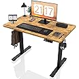 Kingant Electric Standing Desk Height Adjustable - 40 x 24 Inches Sit Stand up Desk & Memory Preset Ergonomic Rising Desks for Work, Home Office Workstation Gaming Rising Desk Study Table