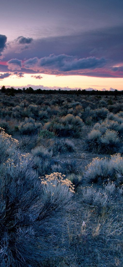 PeelitStickit, Beautiful Nature Wall Murals, ID-2877, vinyl