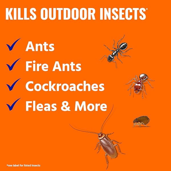 TERRO ANT KILLER PLUS MULTI-PURPOSE INSECT CONTROL FOR OUTDOORS – KILLS FIRE ANTS, FLEAS, COCKROACHES, AND OTHER CRAWLING INSECTS – 3LB SHAKER BAG – T901-6