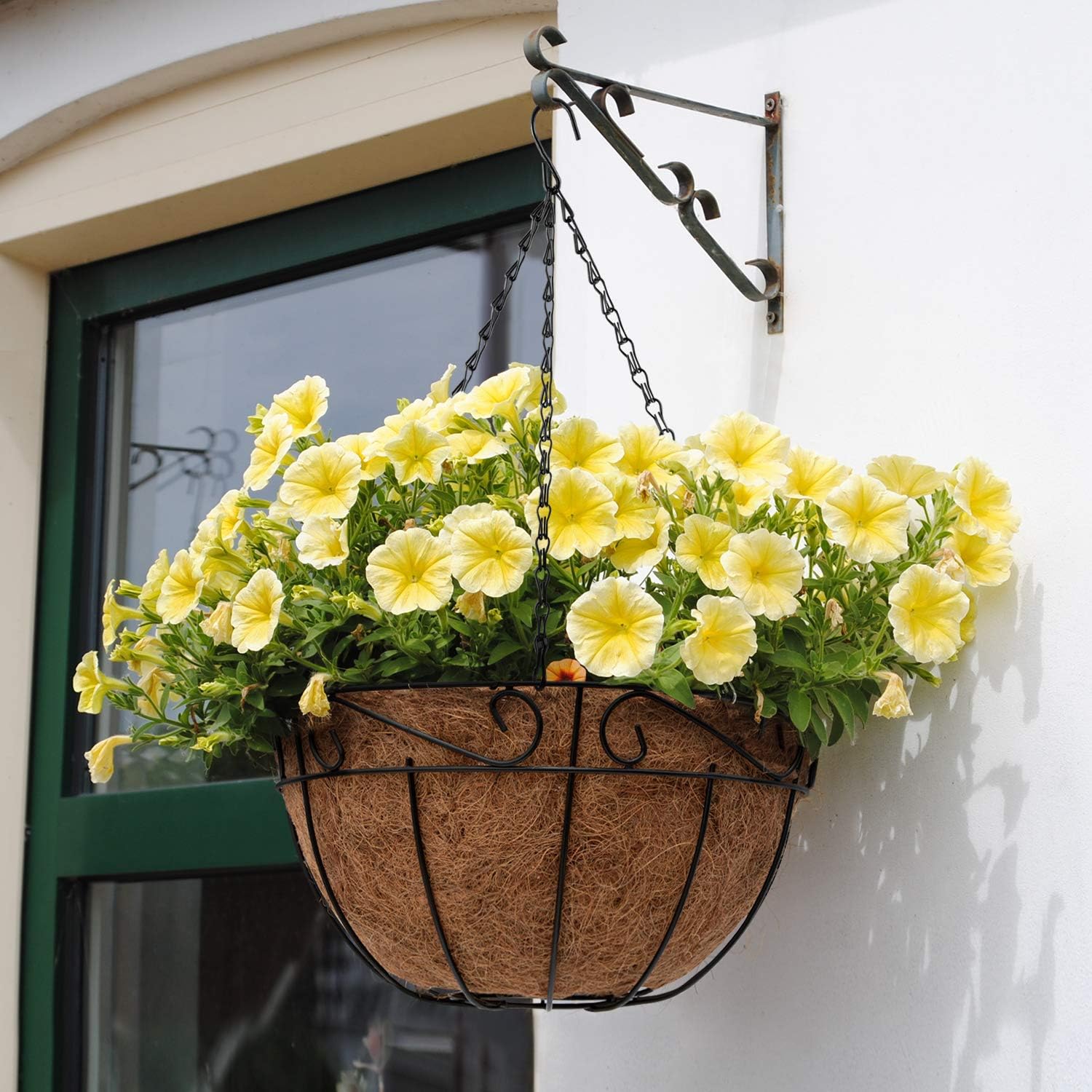 Amagabeli 4 Pack Metal Hanging Planter Baskets 10 Inch for plants Outdoor With Coco Coir Liner Round Wire Flower Pots Plant Holder Chain Porch Decor Hanger Garden Decoration Indoor Watering Black: Home & Kitchen