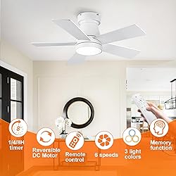 Ceiling Fans with Lights, 30 inch Low Profile