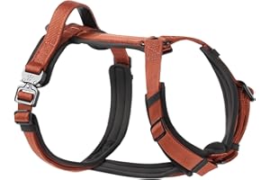 PAWS PASSION PawsPassion Dog Harness for X-Large Dogs, No Pull Dog Harness Easy Walk with Metal Hardware, Ergonomic Y-Shaped Design, Soft Padding, Padded Handle, Durable High-Tensile Nylon (Canyon Red, XL)