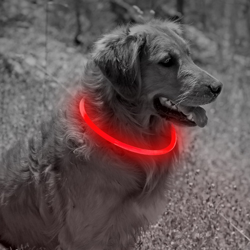 Illumifun Led Dog Collar, USB Rechargeable TPU Cuttable Light Up Collar Make Your Dogs Seen & Safe in the Dark (Ruby Red)