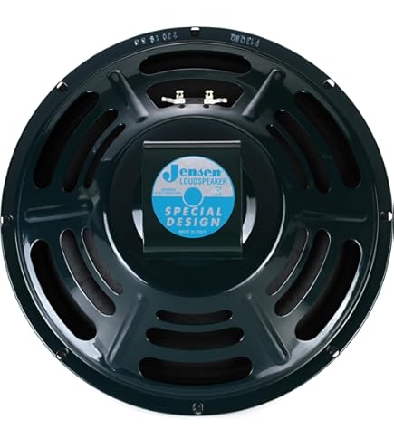 Amazon.com: Jensen Vintage P12R8 12-Inch Alnico Speaker, 8 ohm