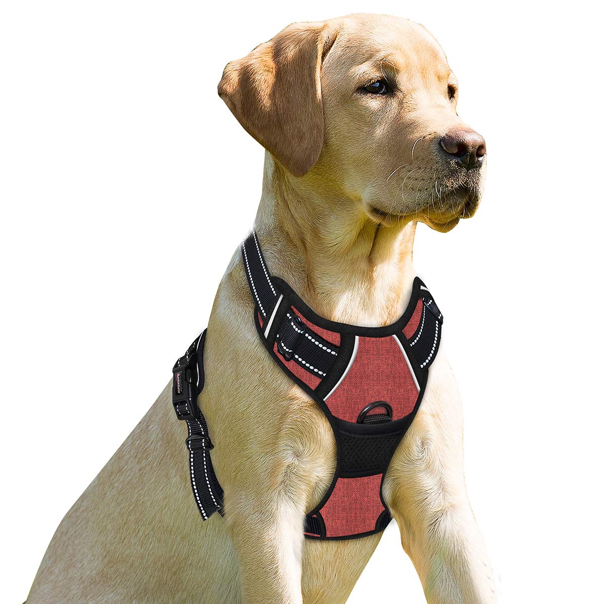 Photo 1 of BARKBAY No Pull Dog Harness Front Clip Heavy Duty Reflective Easy Control Handle for Large Dog Walking(Rio Red,M)