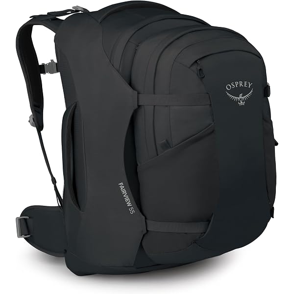 patagonia ultralight black hole tote pack - 27 liters Ultralight Black Hole Tote Pack 27L  Patagonia Worn Wear