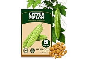 THE LUCKY STARS 25+ 𝗨𝗦𝗔 𝗣𝗥𝗘𝗠𝗜𝗨𝗠 Bitter Melon Seeds for Planting (Bitter Gourd), 𝗡𝗢𝗡-𝗚𝗠𝗢 Seeds – Up to 16 inches Fast Growing – High-Yielding, Extra Long, Authentic Flavor, Heirloom