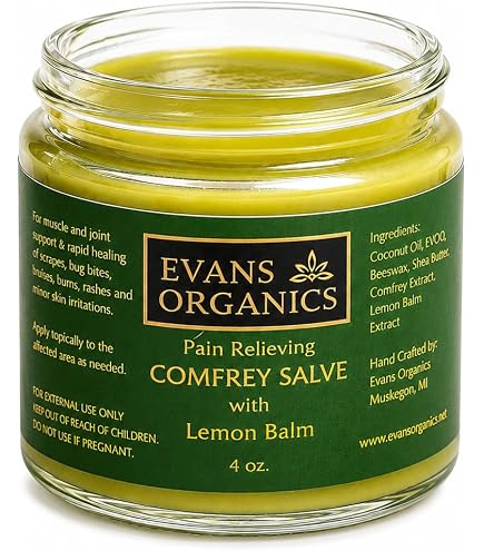 Amazon.com : SpartanFrey Comfrey Salve – 8 fl oz | Natural Herbal