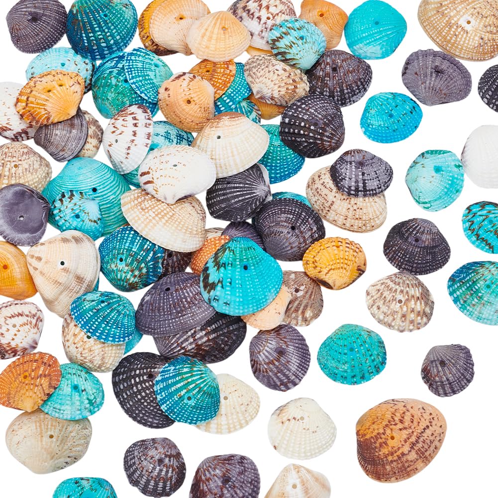 PH PandaHall 50pcs Dyed Sea Shells Scallop Shells Natural Conch Shell Beads Drilled Tiny Scallop Sea Shell for Crafting Hanging Decoration Making Beach Party Garland Wedding Decor 1.2~1.4 Inch