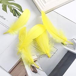 100PCS Natural Goose Feathers Decoration - Assorted
