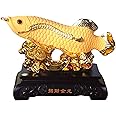 Feng Shui Import Huge Golden Arowana Fish