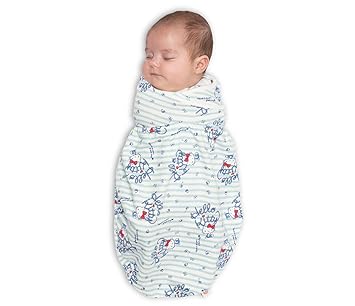 baby swaddle ergobaby