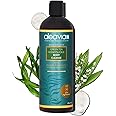 Aleavia Body Cleanse – Organic & All-Natural Prebiotic Body Wash with Raw Honey – Green Tea Honeysuckle Scent – 16 Oz.