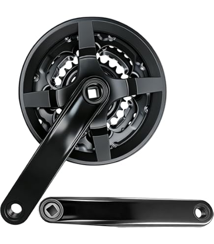Amazon.com : Sunlite Alloy Single Speed Crankset w/Double