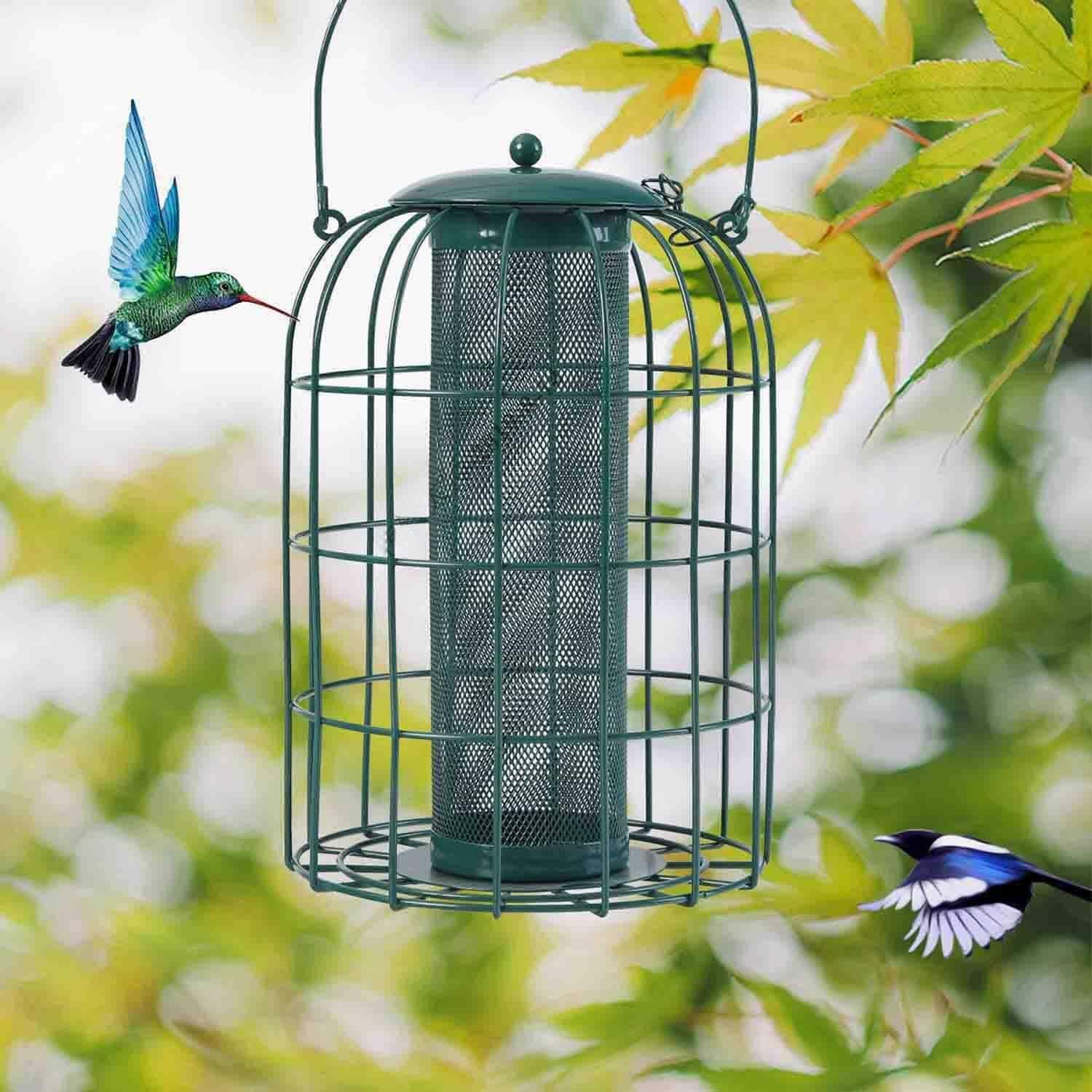 Amazon Com Phi Villa Bird Feeder Squirrel Proof Caged Tube